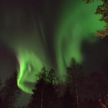 Tule Jouluun! Villa Rovaniemi