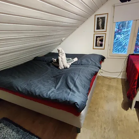 Tule Jouluun! Villa Rovaniemi
